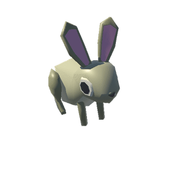 Jackrabbit_LOD3_1