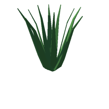 aloe