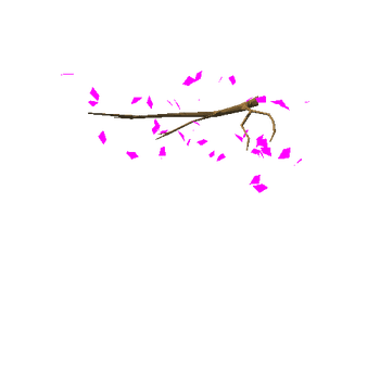 appleTree_v01_foliage_v02_broken_v02_branch