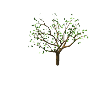 appleTree_v01_foliage_v02_noApples