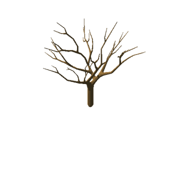 appleTree_v01_noFoliage