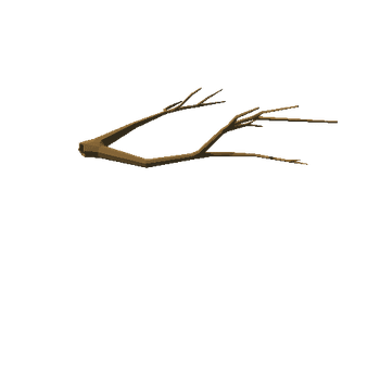 appleTree_v01_noFoliage_broken_v01_branch