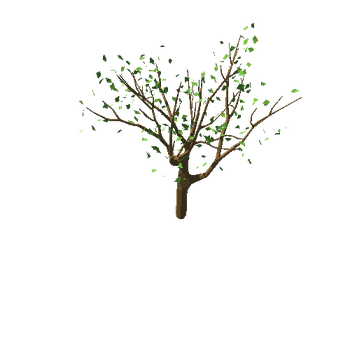 appleTree_v02_foliage_v02_noApples