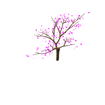 appleTree_v03_foliage_v02_broken_v01_trunk_noApples