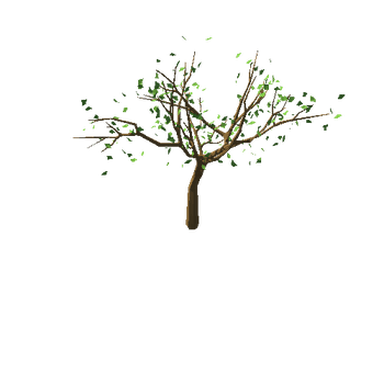 appleTree_v05_foliage_v02_noApples