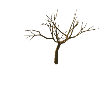 appleTree_v05_noFoliage