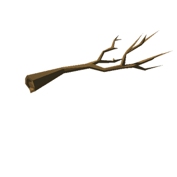 beech_v02_noFoliage_broken_branch