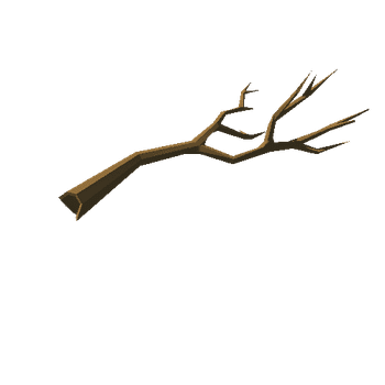 beech_v03_noFoliage_broken_v02_branch