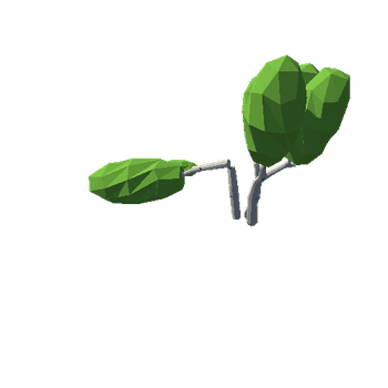 birch_v04_foliage_v01_broken