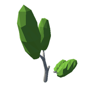 birch_v07_foliage_v01_broken_v02