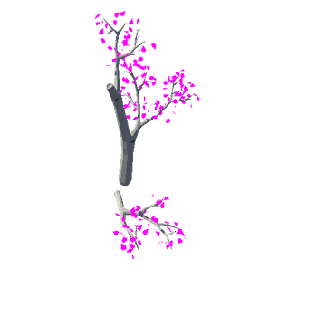 birch_v07_foliage_v02_broken_v01