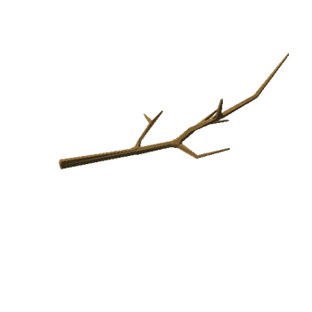 branch