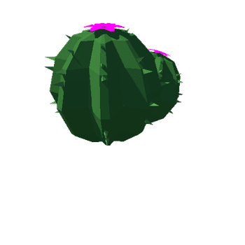 cactus_v03.002