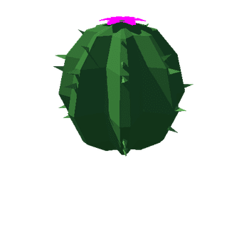 cactus_v03