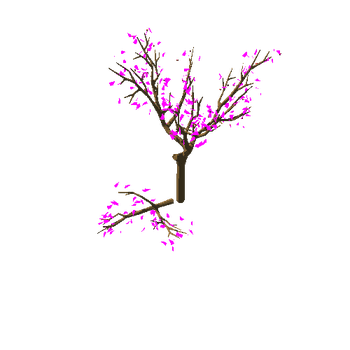 cherryTree_v01_foliage_v02_broken_v01