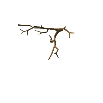 cherryTree_v02_noFoliage_broken_branch