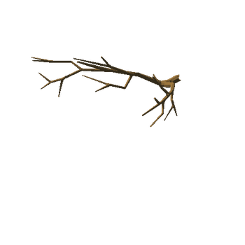 cherryTree_v05_noFoliage_broken_v02_branch