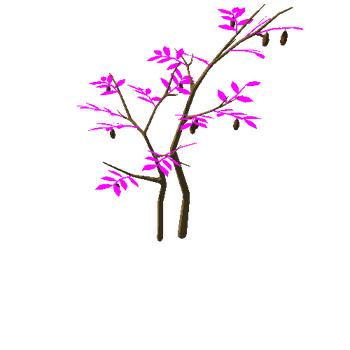 cocoaTree_v03