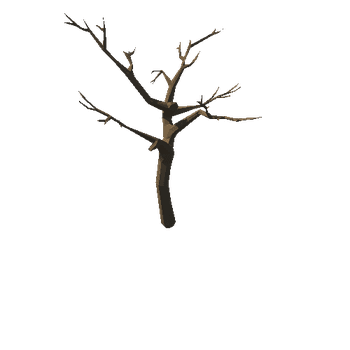 deadTree_v07