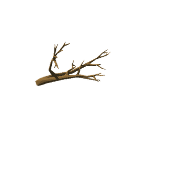 maple_v02_noFoliage_broken_v02_branch