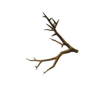 oak_v04_noFoliage_broken_v01_branch