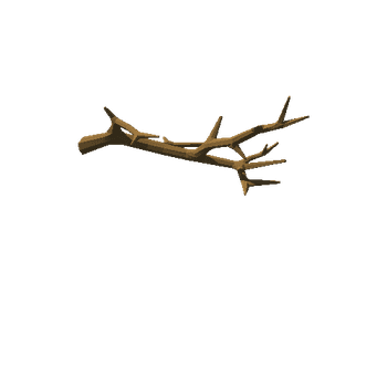 oak_v06_noFoliage_broken_v01_branch