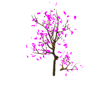 pearTree_v01_foliage_v02_broken