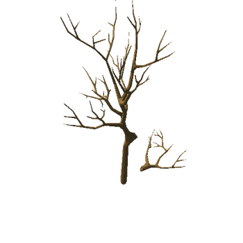 pearTree_v01_noFoliage_broken