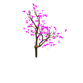 pearTree_v03_foliage_v02_broken_v01_trunk_noPears