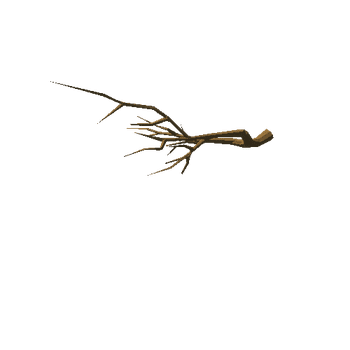 pearTree_v03_noFoliage_broken_v01_branch