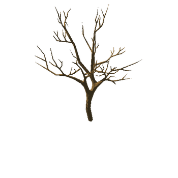 pearTree_v04_noFoliage