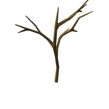 smallLemonTree_v01_noFoliage