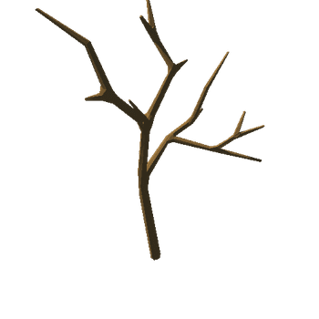 smallLemonTree_v02_noFoliage