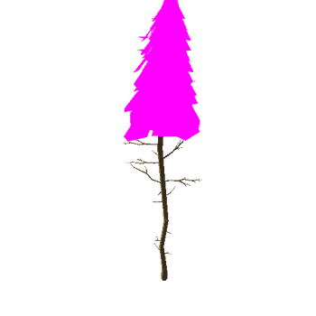 spruce_foliage_v01.016
