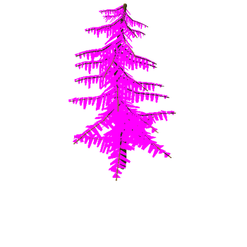 spruce_foliage_v04.002