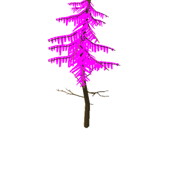 spruce_foliage_v04.003