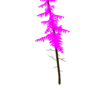 spruce_foliage_v04.007