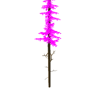 spruce_foliage_v04.013
