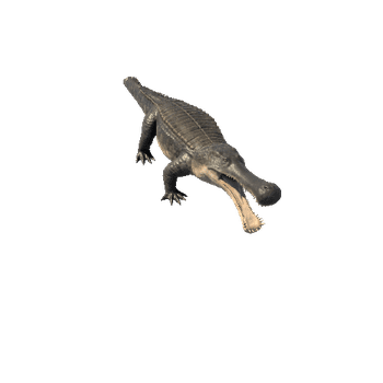 Sarcosuchus1