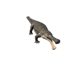 Sarcosuchus_HighRes