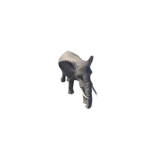 elephant@run