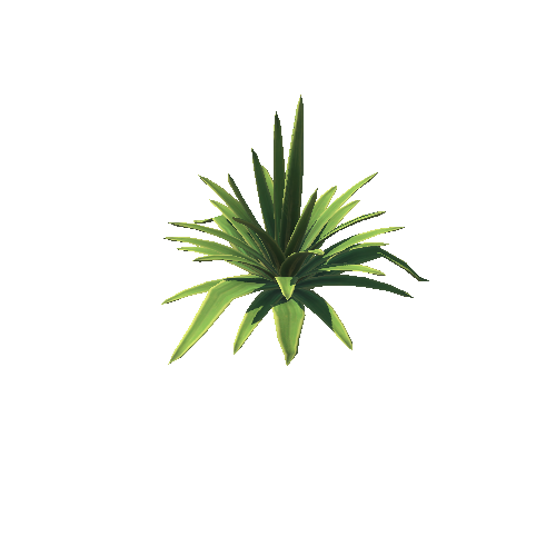 Plant_2