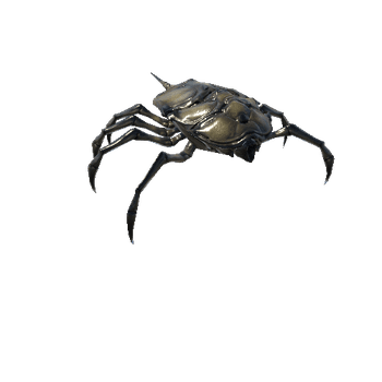 InsectCrawler