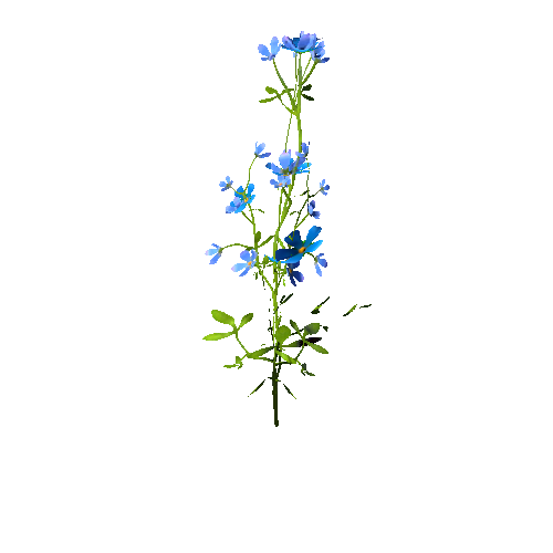 Flowers01_Blue