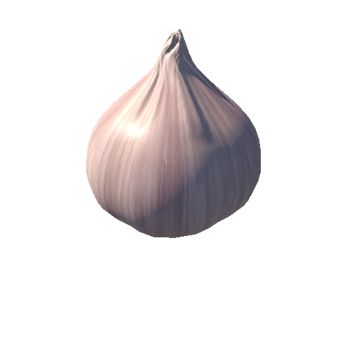 Garlic_01