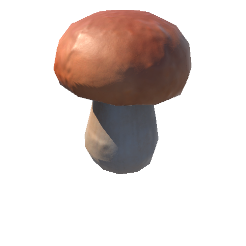 PorcinoMushroom_01