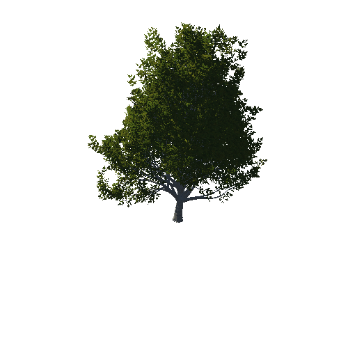 TreeGen04-OakTrees02-00081-99