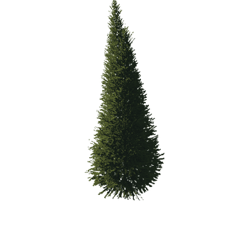 TreeGen04-FirTree01-533