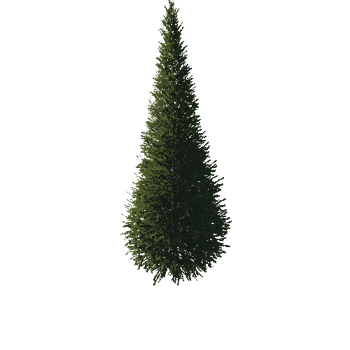 TreeGen04-FirTree01-535