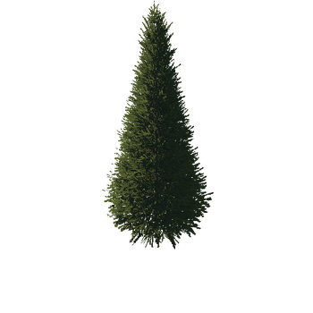 TreeGen04-FirTree01-537